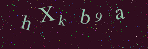 Validation image