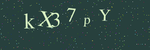 Validation image
