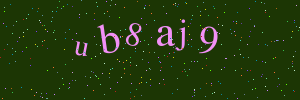 Validation image