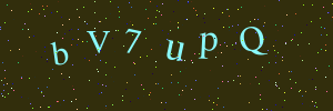 Validation image