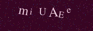 Validation image
